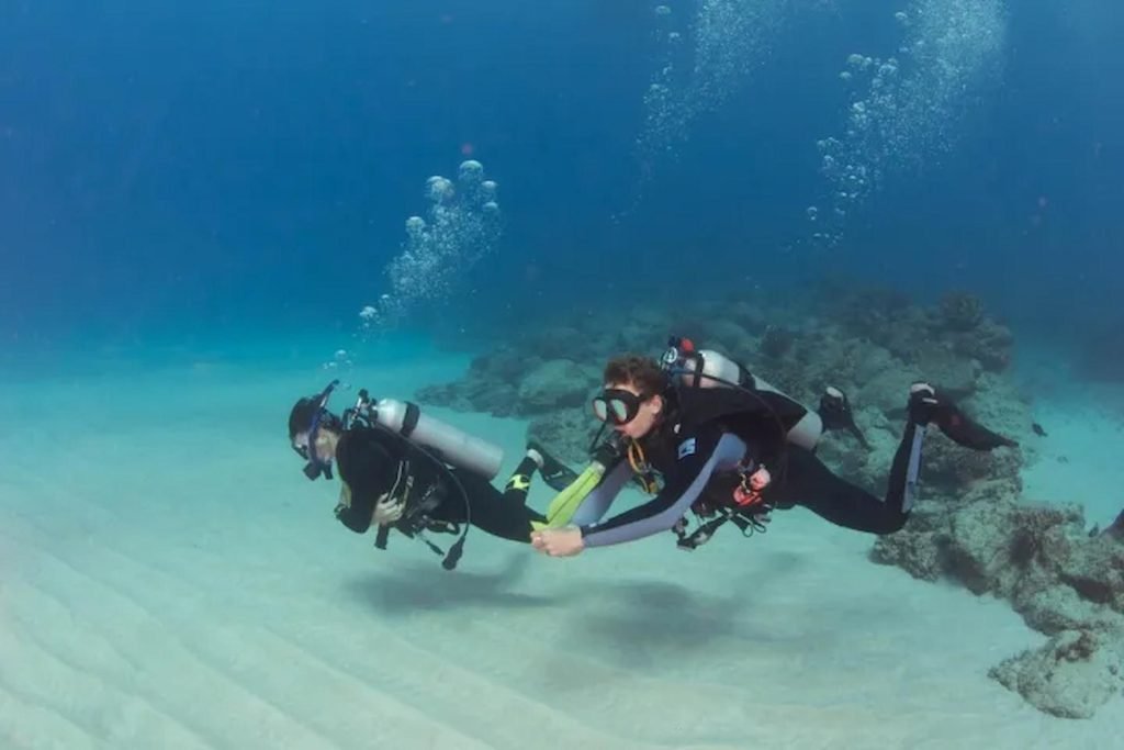 Ocean Lover’s