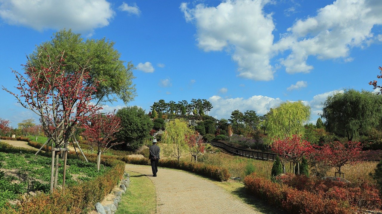 Different Things To Do When You Are Visiting Kent During Autumn 2013